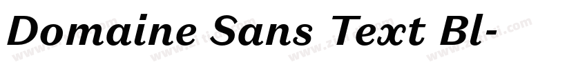 Domaine Sans Text Bl字体转换